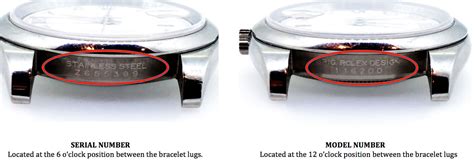 do rolex case backplates contain serial numbers|rolex case back date chart.